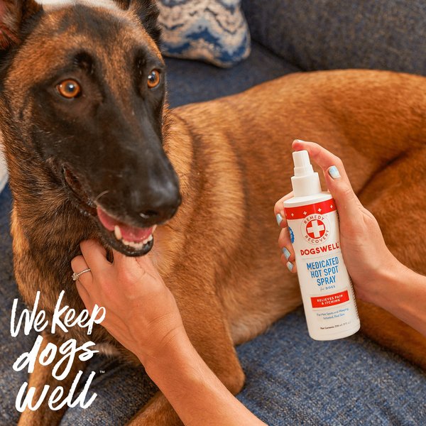 Dogswell Remedy+Recovery Medicated Antiseptic Spray for Dogs & Cats, 4-oz bottle