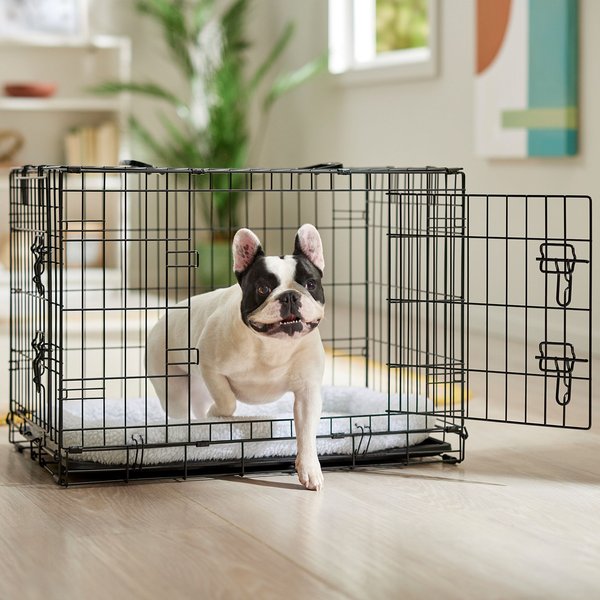 FRISCO Fold & Carry Double Door Collapsible Wire Dog Crate, Medium