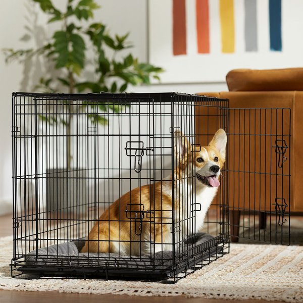 Frisco Fold & Carry Double Door Collapsible Wire Dog Crate, Med/L: 36-in L x 23-in W x 25-in H slide 1 of 9