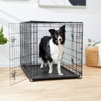 Frisco Fold & Carry Double Door Collapsible Wire Dog Crate, L: 42-in L x 28-in W x 30-in H