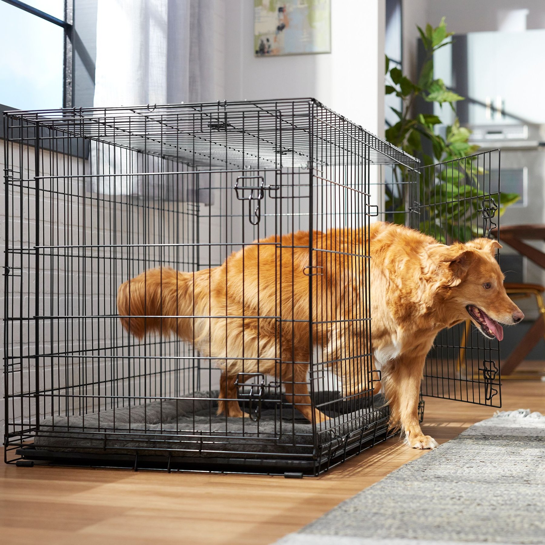 28 Inch Pet cage, Dog Cage Double Door with Paw Protector And Removable  Tray, Crate, Carrier play pen, pet house, Fence, Kennel (Medium - 28 x 24  Inch) - 24x7 eMall