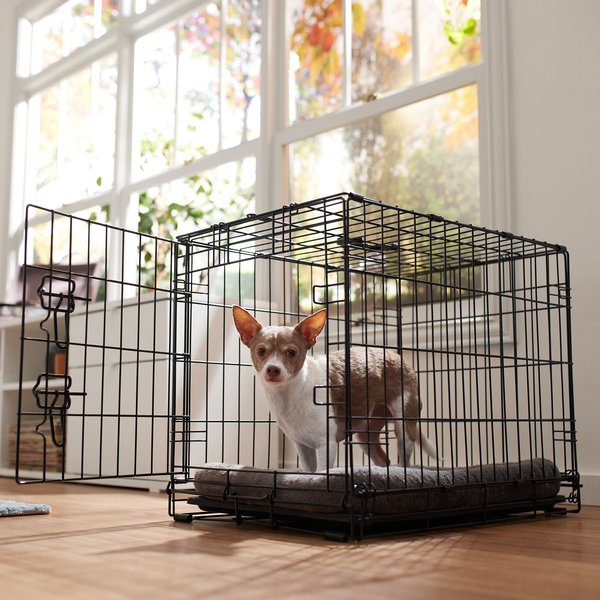 Frisco Fold & Carry Single Door Collapsible Wire Dog Crate, Small slide 1 of 9