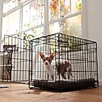 Frisco Fold & Carry Single Door Collapsible Wire Dog Crate, 24 inch