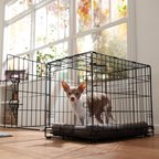 Frisco Fold & Carry Single Door Collapsible Wire Dog Crate, S: 24-in L x 18-in W 19-in H