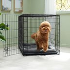 Frisco Fold & Carry Single Door Collapsible Wire Dog Crate, 42 inch