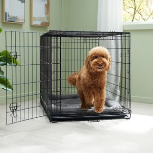 Frisco Fold & Carry Single Door Collapsible Wire Dog Crate, L: 42-in L x 28-in W x 30-in H