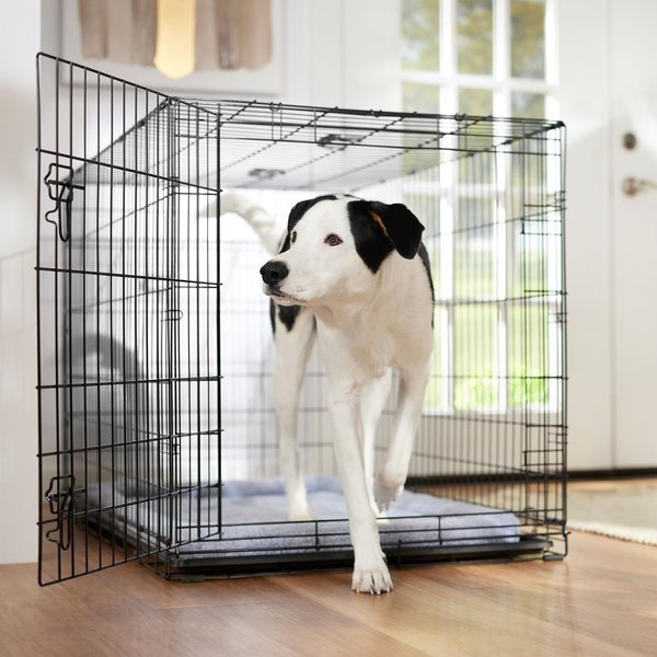 Plush Dog Crate Mat – Snooze Doggy