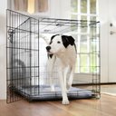 Frisco Fold & Carry Single Door Collapsible Wire Dog Crate, XL: 48-in L x 30-in W 32-in H