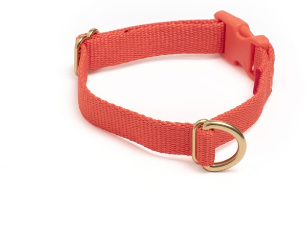 AWOO Pack Standard Dog Collar, Spice, X-Small 