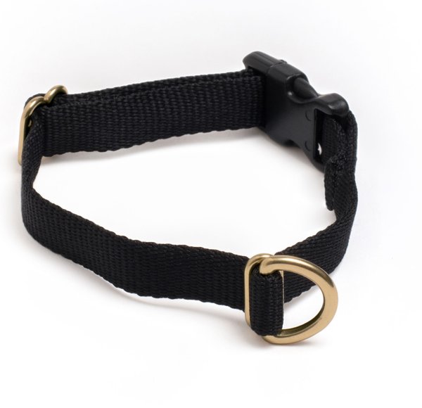 Chewy leather outlet collar