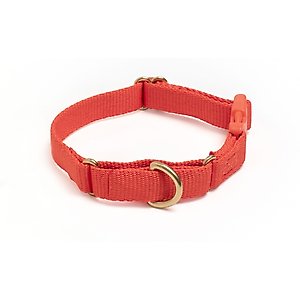 Awoo Marty Martingale Dog Collar, Spice, X-Small