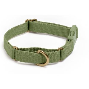 Awoo Marty Martingale Dog Collar, Olive, X-Small