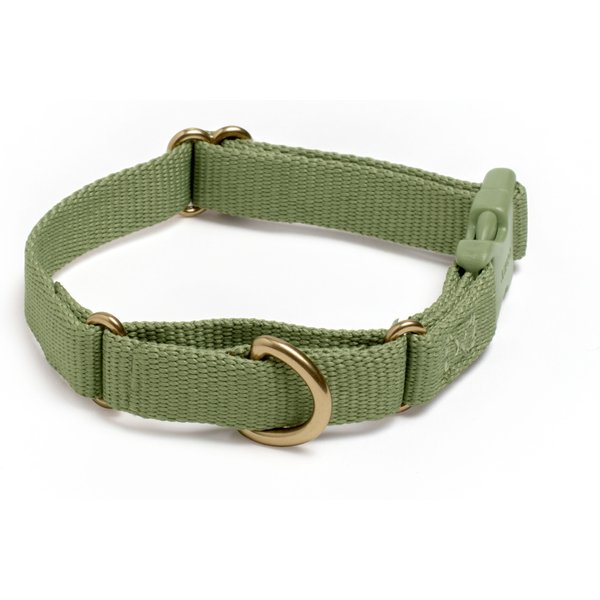 AWOO Marty Martingale Dog Collar, Olive, XSmall