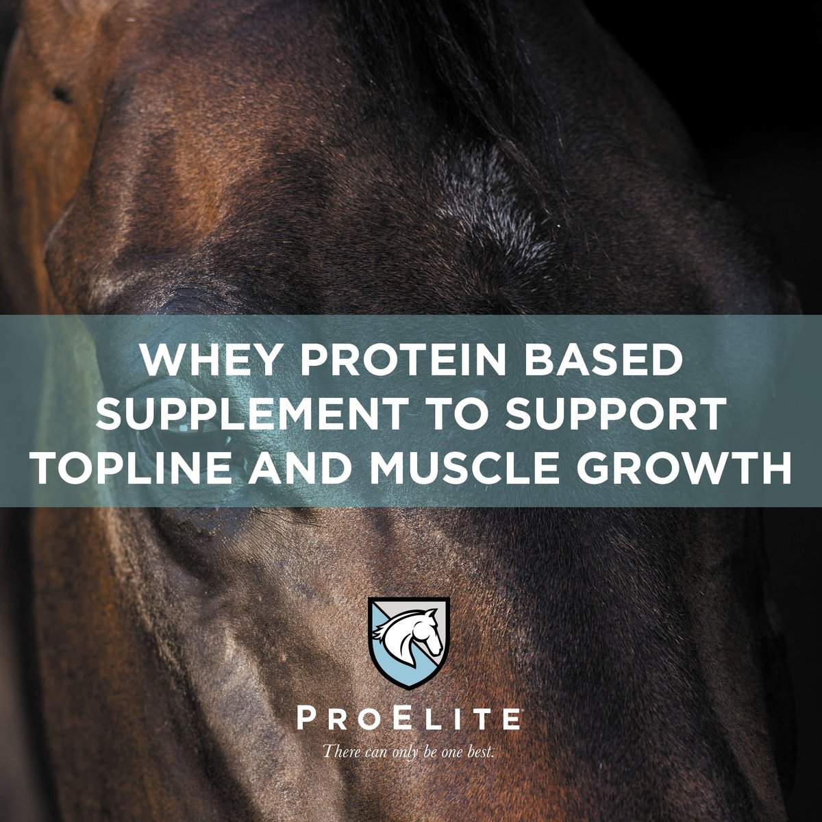 PROELITE TopLine Xtreme Topline Support Horse Supplement, 15lb pail