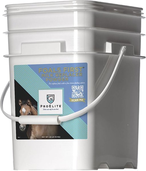 PROELITE Foals First Milk Replacer Horse Supplement, 22-lb pail - Chewy.com