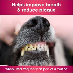 Friday's Dog Mighty Mouth Oral Wellness Breath Freshener Dog Dental Water Additive, 12-oz bottle