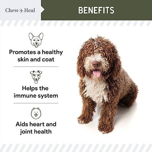 Chew + Heal Pure Cod Liver Oil Omega Skin & Coat Liquid Supplement for Dogs, 16-oz bottle