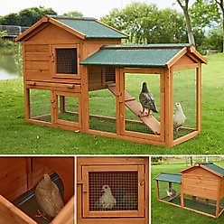 Featherland Paradise Pigeon House, Large slide 2 of 5