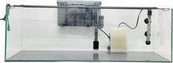 Lifegard Clear Glass Bookshelf Aquarium with HOF-4 Hang On Filter, 8-mm, 22-gal slide 2 of 9