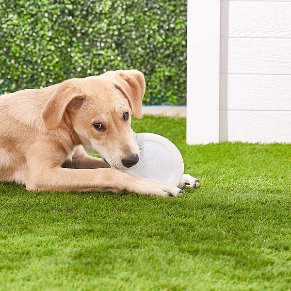 Pawoof Flying Disc Dog Toy