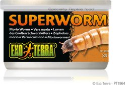 Exo Terra Canned Super Worms Reptile Food, 1.1-oz bag