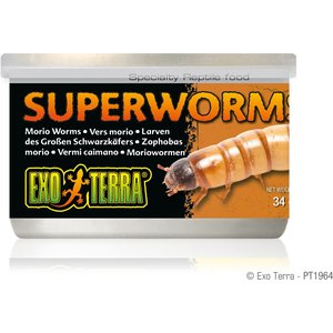 Exo Terra Canned Super Worms Reptile Food, 1.1-oz bag