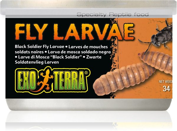 Threepa New Red Yellow Larva also known as Larvae TV Animation 2020