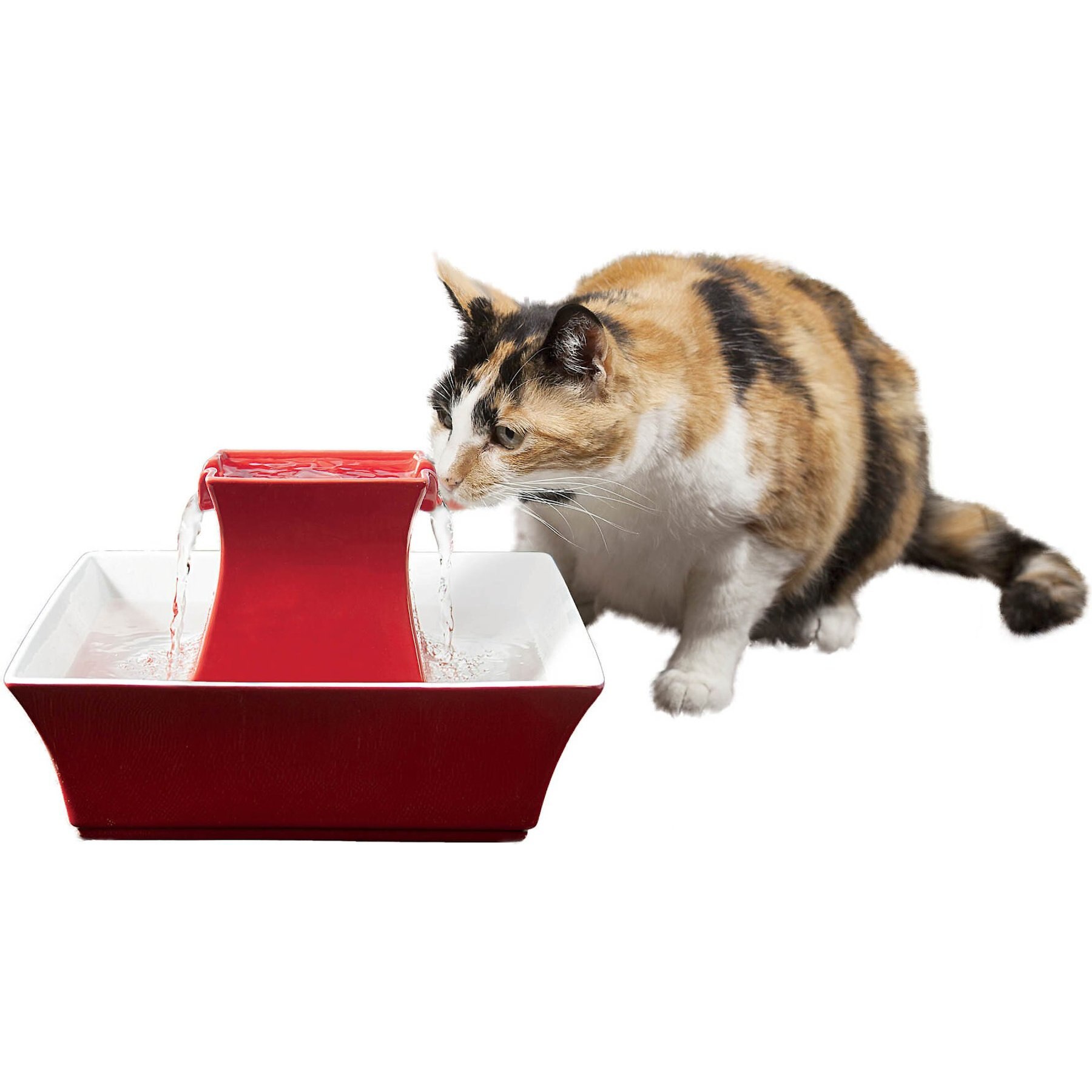 Pagoda cat water fountain best sale