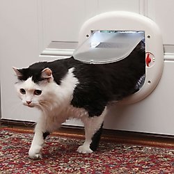 PetSafe 4-Way Locking Cat Door, Up to 25-lbs