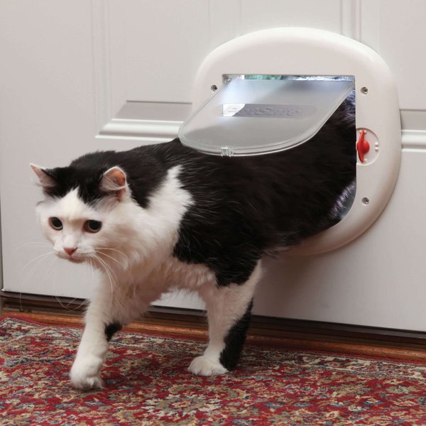 PetSafe 4-Way Locking Cat Door, Up to 25-lbs slide 1 of 8