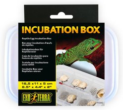 Exo Terra Reptile Incubation Box