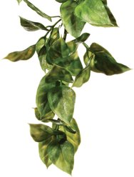 Exo Terra Plastic Terrarium Reptile Plant, Medium, Amapallo