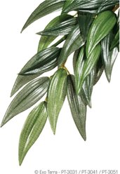 Exo Terra Silk Terrarium Reptile Plant, Ruscus, Small