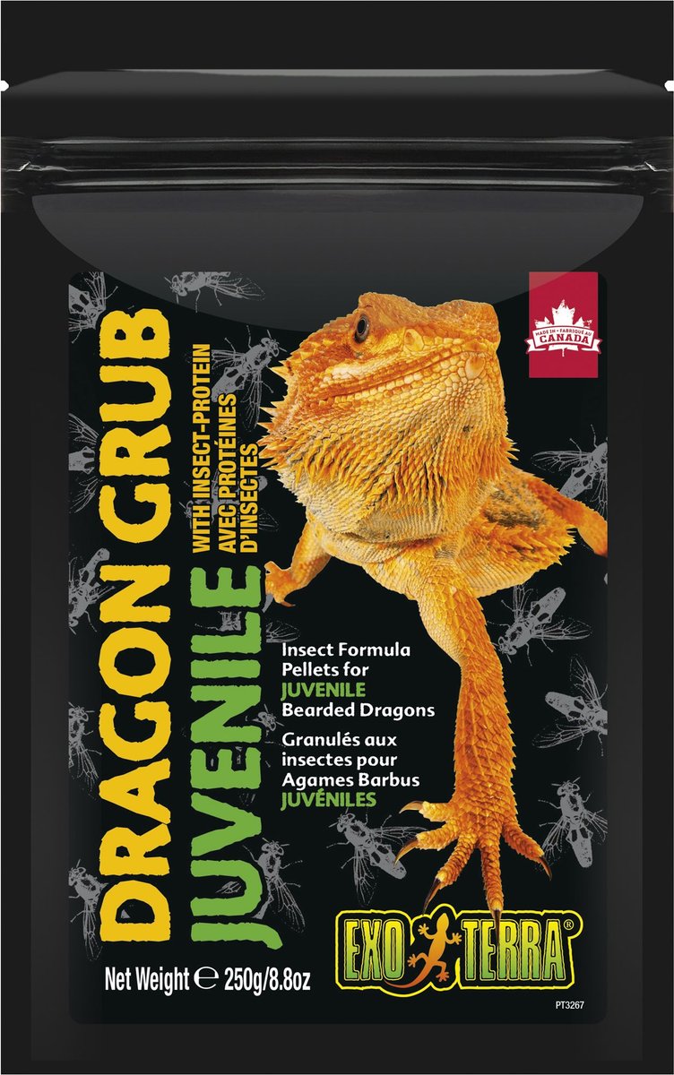 EXO TERRA Dragon Food Grub for Juvenile Bearded Dragons, 8.8oz bag