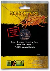 Exo Terra Crickets X-Large Vacuum Packed Reptile Food, 0.53-oz bag