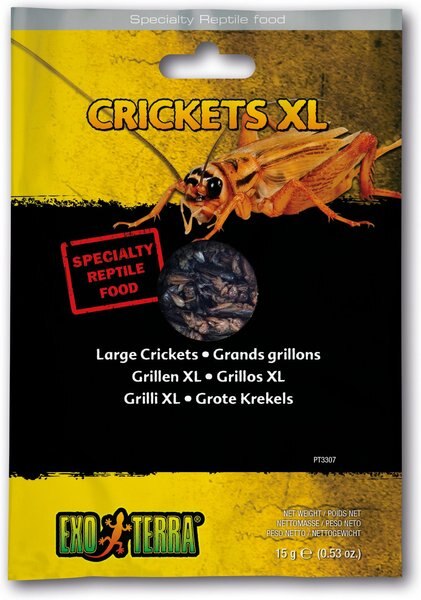 Exo Terra X-Large Crickets Reptile Food