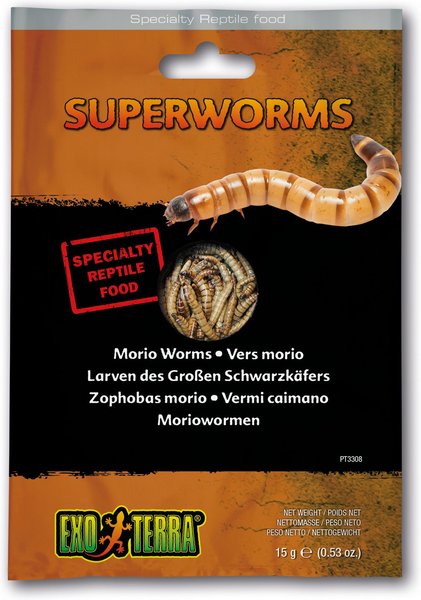Exo Terra Earthworms Vacuum Packed Reptile Food, 0.53-oz bag