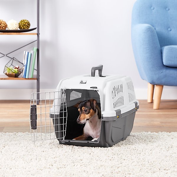 MidWest Skudo Standard Plastic Dog & Cat Kennel, 22-in slide 1 of 10