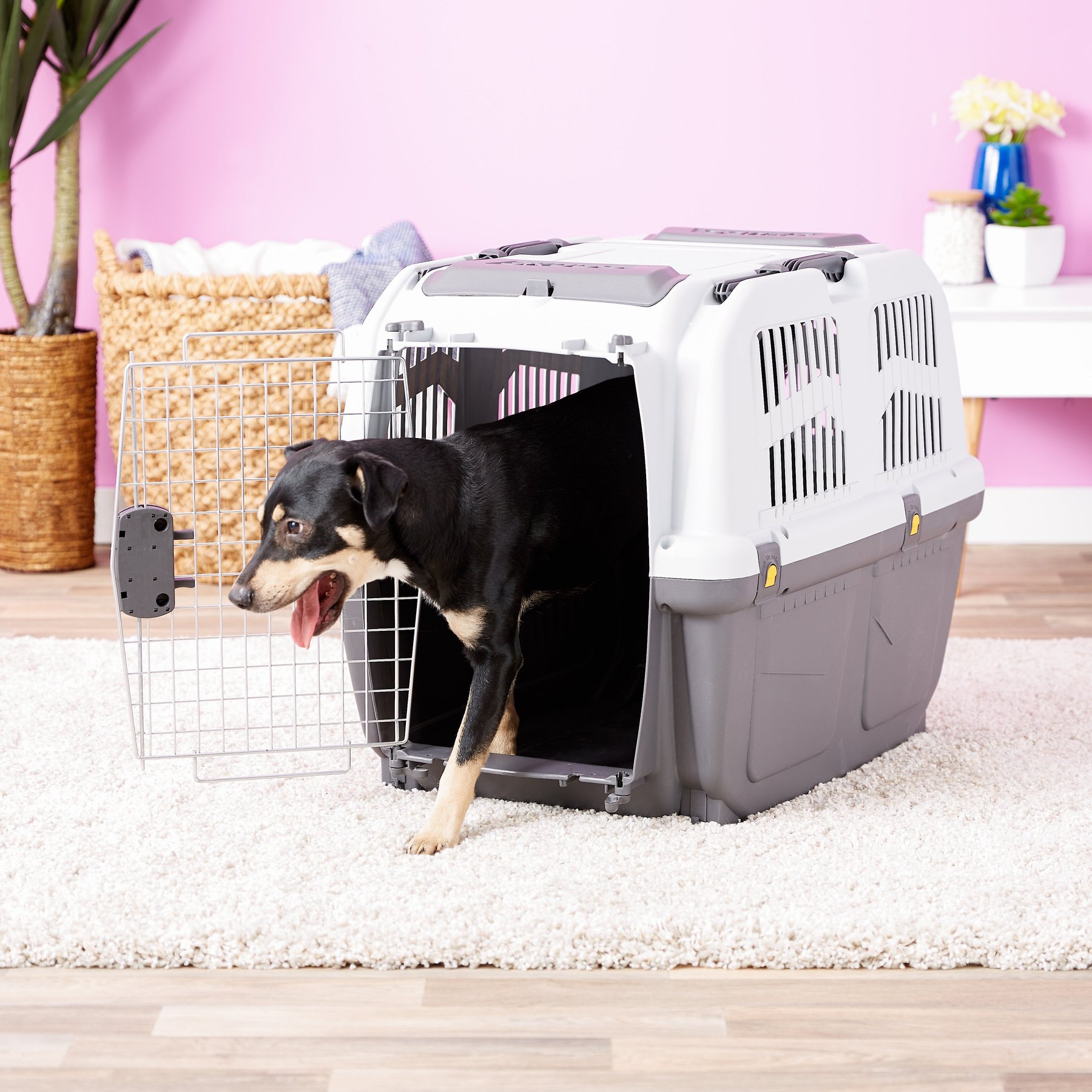 Hard Sided Pet Carrier: 32-inch Skudo is suitable for medium breed dog  carrier ideal for dogs with an adult weight 35-40  Size: ‎32-Inch Deluxe  M for Sale in Brush Prairie, WA - OfferUp