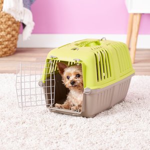 MidWest Spree Plastic Dog & Cat Kennel, Green, 19-in