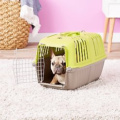 MidWest Spree Plastic Dog & Cat Kennel, Green, 22-in