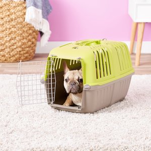 MidWest Spree Plastic Dog & Cat Kennel, Green, 22-in