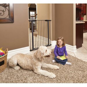 10 Best Dog Gates 2024 According To Reviews Chewy   89414 PT4. AC SS300 V1679000407  