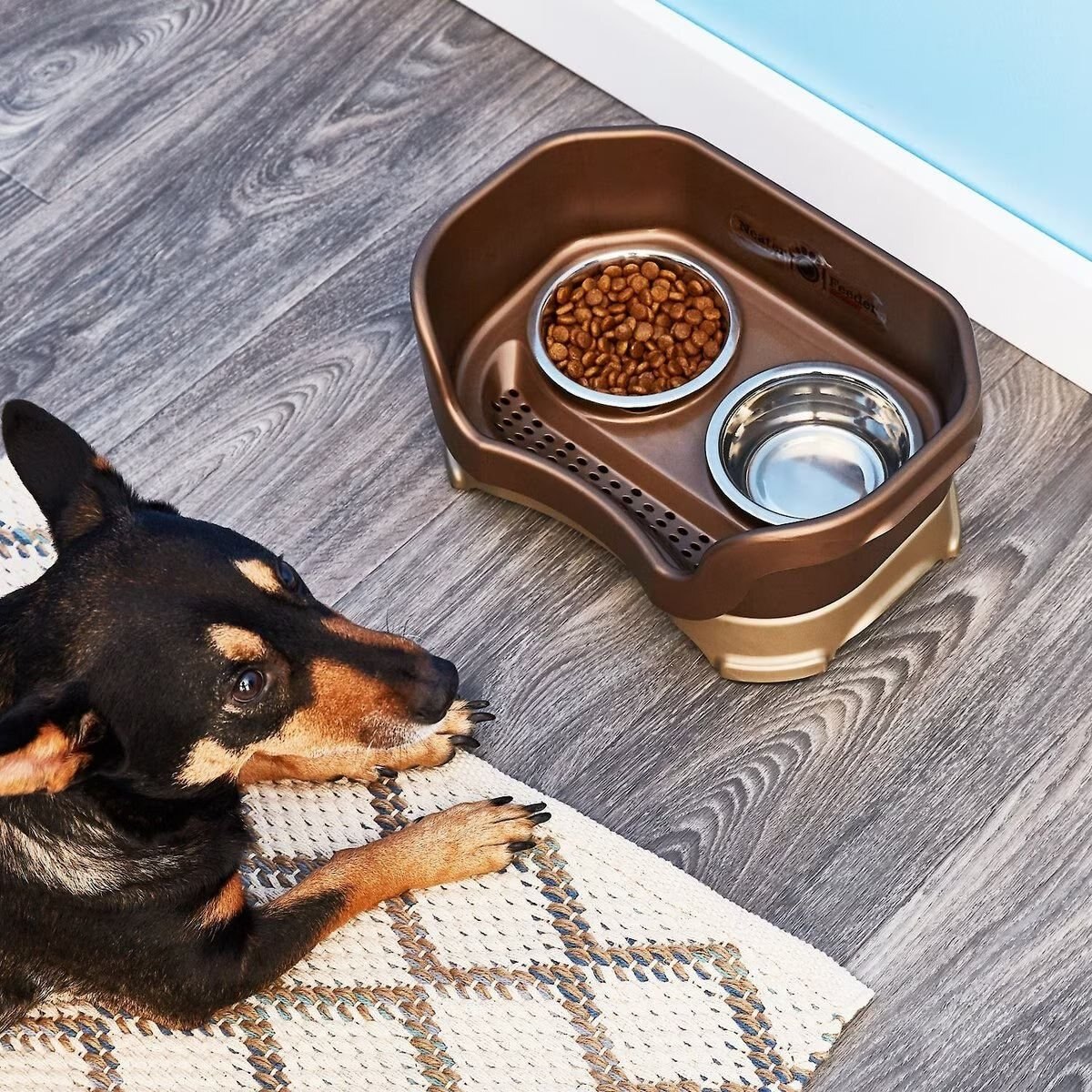 Neater feeder outlet elevated dog bowls