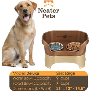 The 10 Best Elevated Dog Bowls of 2024