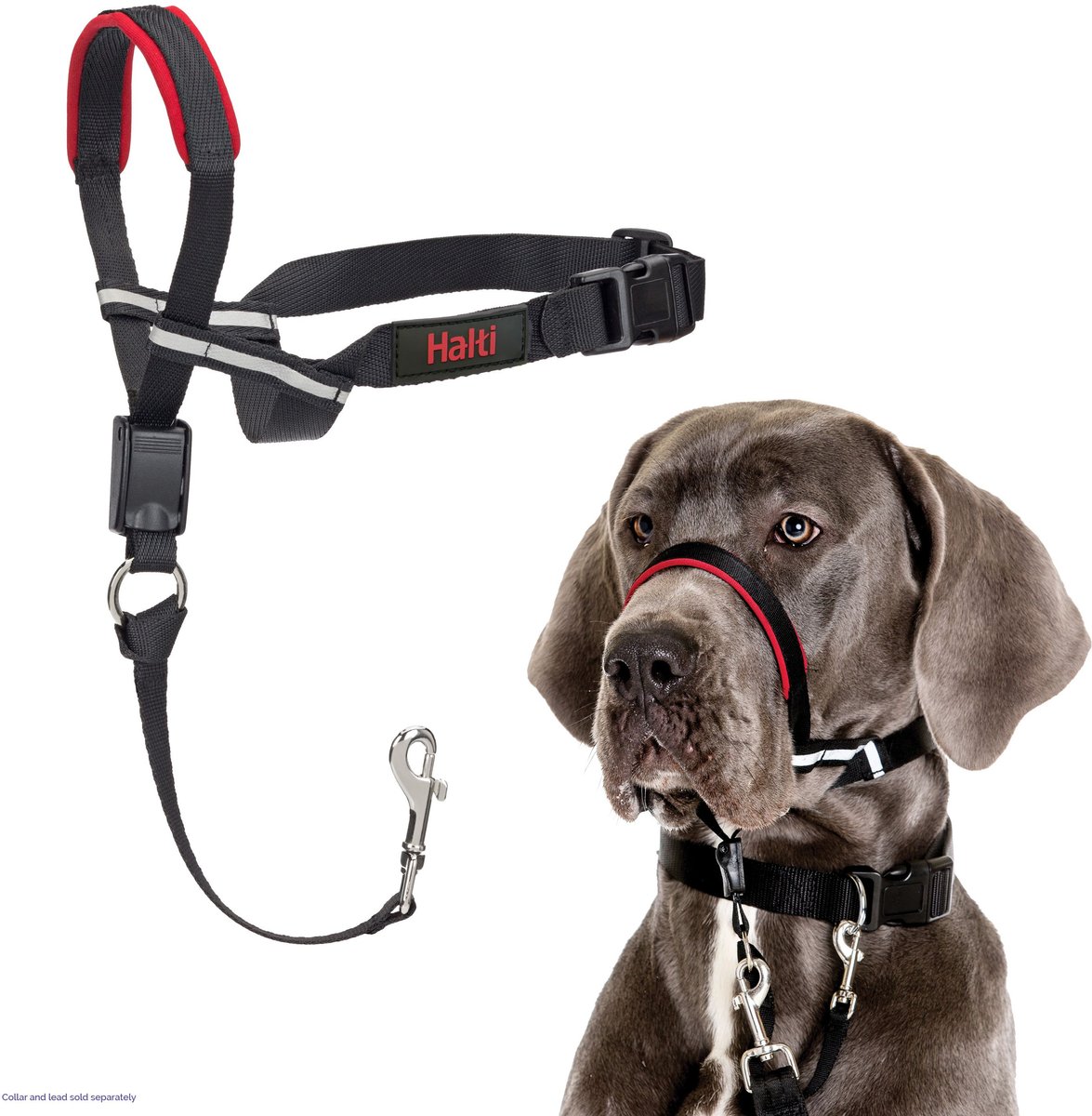 Dog headcollar 2025