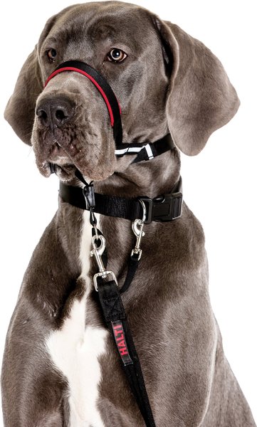 Halti OptiFit Nylon Dog Headcollar, Large: 19 to 27-in neck slide 1 of 9