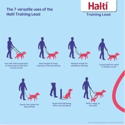 Halti Nylon Training Dog Lead, Black, Large: 6.56-ft long, 0.98-in wide slide 2 of 9