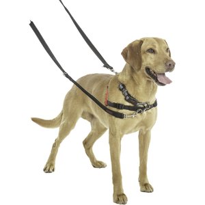 Brown Chewy V Pawtton Leash for Dogs and Cats