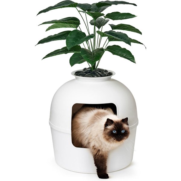 BUNDLE & BLISS Secret Litter Box Hidden Cat Litter Box Plant, Vivid